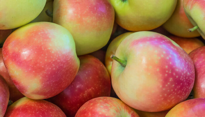 Foods to eat for better lung health